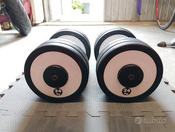 Manubri Technogym gommati 24kg - coppia