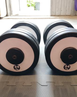 Manubri Technogym gommati 24kg - coppia