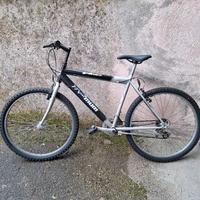 Mountain Bike uomo