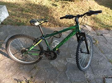 MTB Ragazzo OLMO 24