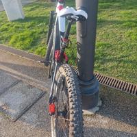 ebike artgianale 