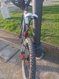 ebike artgianale 