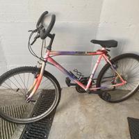Mountain-bike