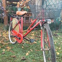 Bicicletta artigianale da città