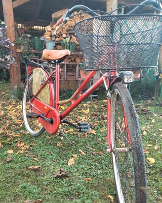 Bicicletta artigianale da città