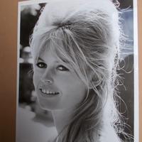 Brigitte Bardot fotografia 18 x 24 cm.