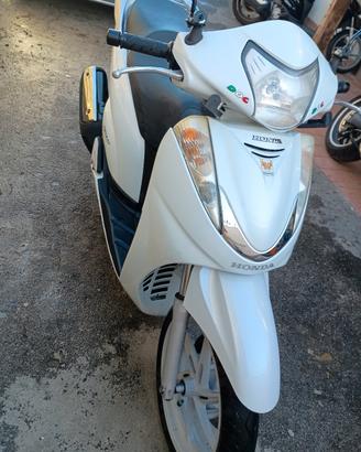 sh300 rettificato 
