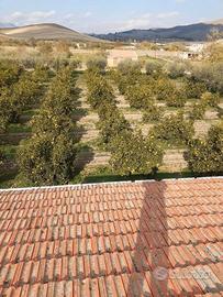 Terreno con abitazione 