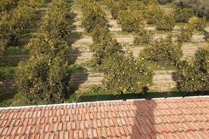 Terreno con abitazione 