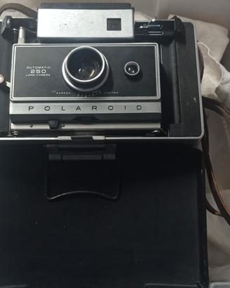 Polaroid automatic 250