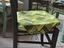 Immagine 1