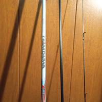 canna Team Daiwa Italy match 3/8 gr.