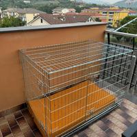 Kennel cani taglia grande