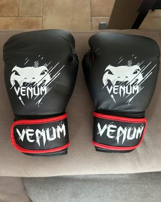 Guantoni box con fasce