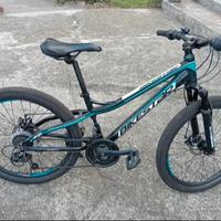 Mountain bike ragazzo 