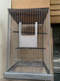 Voliera per pappagalli e canarini