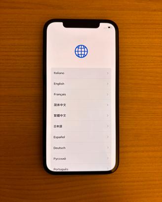 iPhone 12 256GB batteria 100%