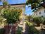Immagine 24