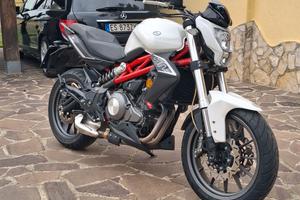 Benelli BN 302