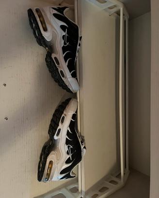 (TN) scarpe