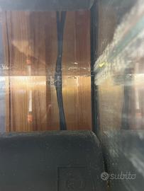 Avannotti di Guppy