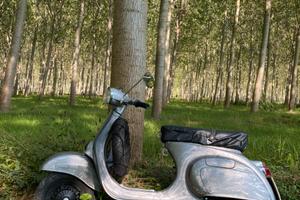 VESPA PRIMAVERA ET3