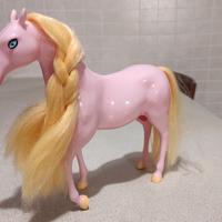 cavallo Winx o Barbie