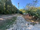 centro-cinofilo-pensione-e-addestramento-cani