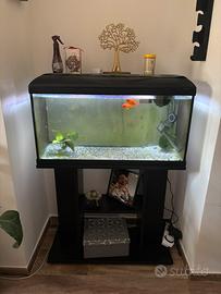 Acquario 80 litri con mobiletto