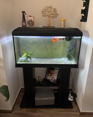 Acquario 80 litri con mobiletto