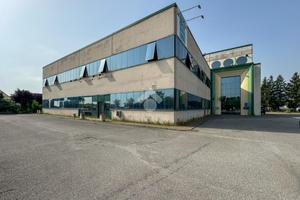 NEGOZIO A CASALMAGGIORE