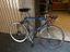 Immagine 1