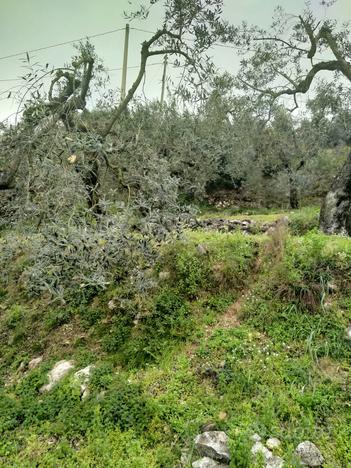 Terreno panoramico