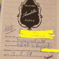 Pelliccia  visone biondo Annbabella Pavia. Allega