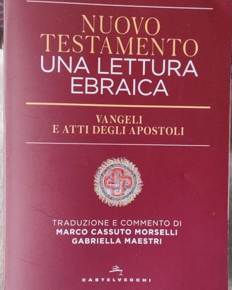 VANGELI ed ATTI  una lettura ebraica
