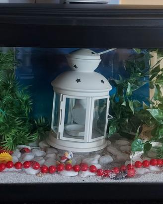 ACQUARIO COMPLETO
