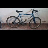 coppia di mountain bike