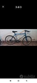 coppia di mountain bike