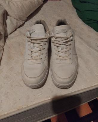 scarpe da ginnastica  lacoste