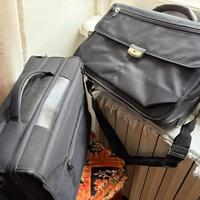 Due borse 48 ore Samsonite e Delsey