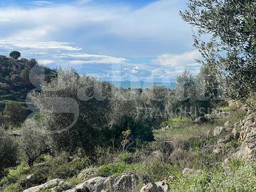 Terreno Agricolo Gaeta [Cod. rif T53VCG]