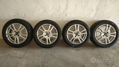 CERCHI IN LEGA PSW 15 "