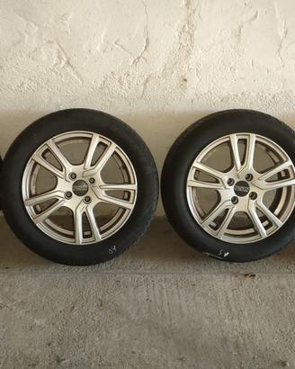 CERCHI IN LEGA PSW 15 "