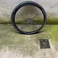 Cerchio bici
