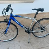 Bici Olmo