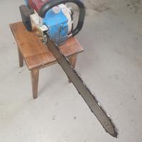 motosega  companion  svedese 