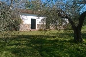 Terreno con annesso