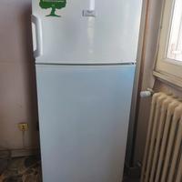 Frigorifero Rex Electrolux usato