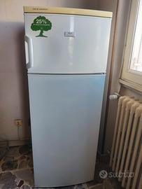 Frigorifero Rex Electrolux usato