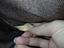 Immagine 4